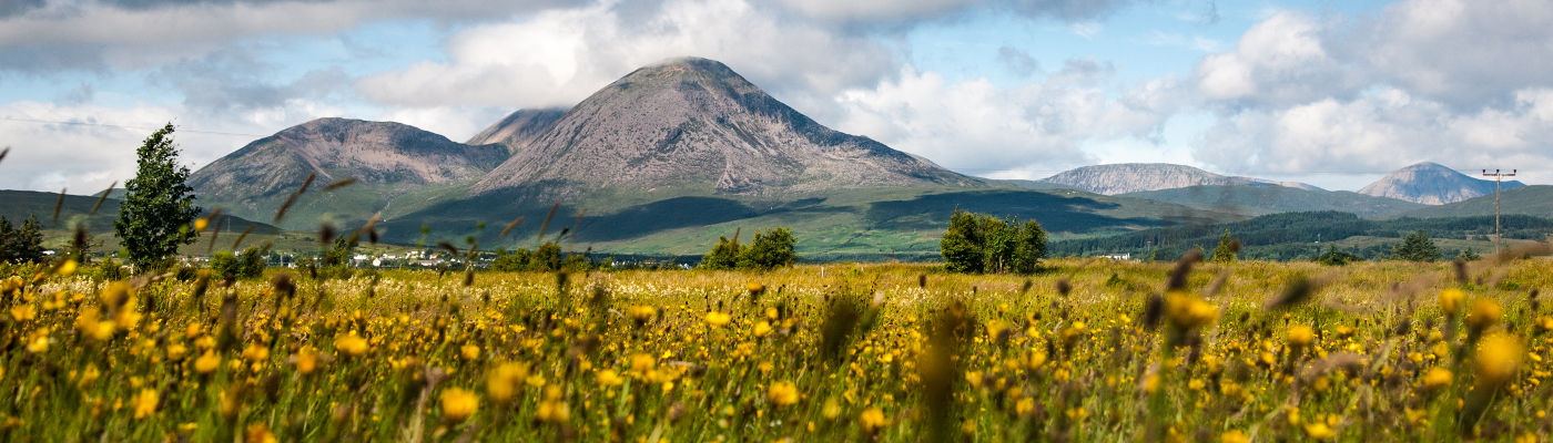 Beinn na Caillich